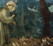 St-Francis-of-Assisi-Preaching-to-the-Birds-Giotto
